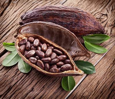 چگونه تمرکز را افزایش دهیم