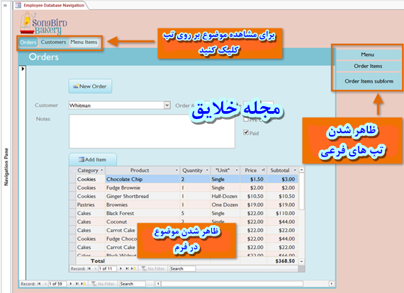 کار با اکسس