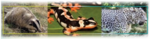یادگیری زبان انگلیسی