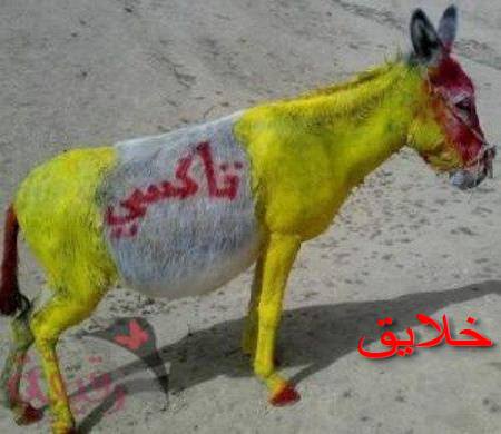 عکس های بامزه
