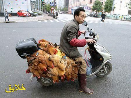 عکس های طنز و خنده دار