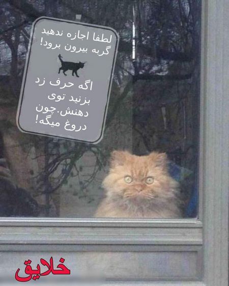 تصاویر خنده دار و جالب