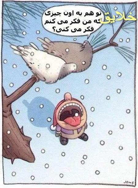 عکس حیوانات بامزه