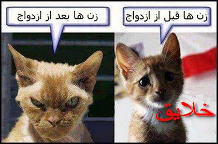 عکس های بامزه