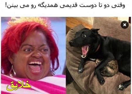 تصاویر خنده دار و جالب