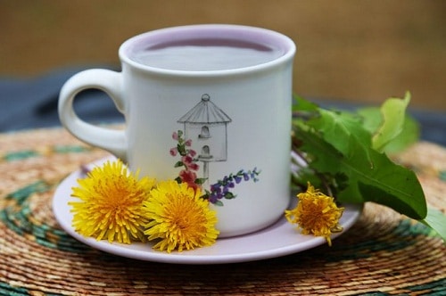 چای ریشه قاصدک
