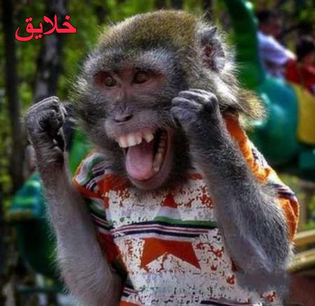 عکس های طنز و خنده دار