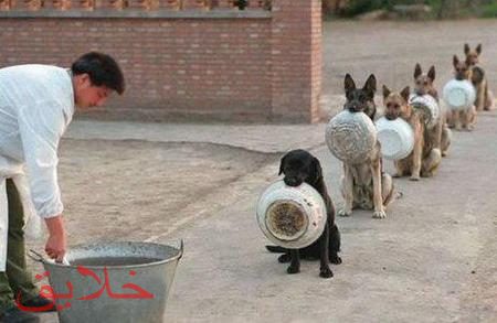 عکس نوشته طنز