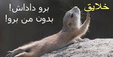عکس حیوانات بامزه