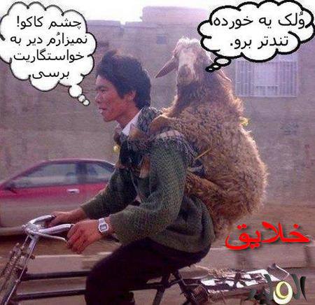 عکس های بامزه