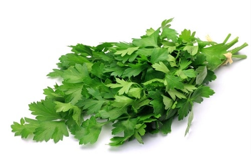 چگونه بوی بد سیر را از دهان ببریم