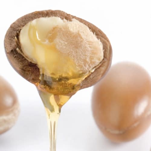 خواص روغن آرگان برای پوست