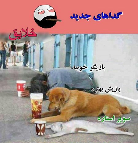 عکس های جالب و خنده دار