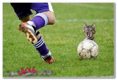 عکس های جالب و خنده دار