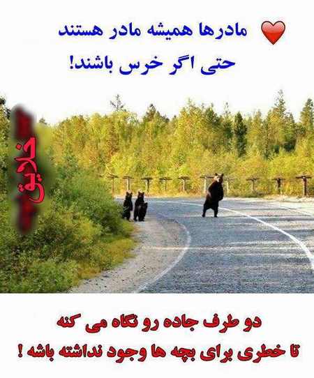 عکس های خنده دار و جالب