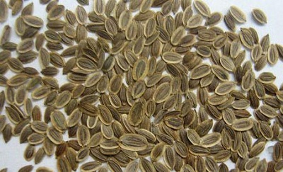 خواص درمانی سبزی شوید