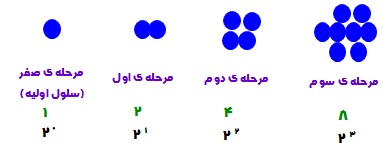 آموزش لگاریتم به زبان ساده