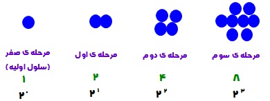 آموزش لگاریتم به زبان ساده