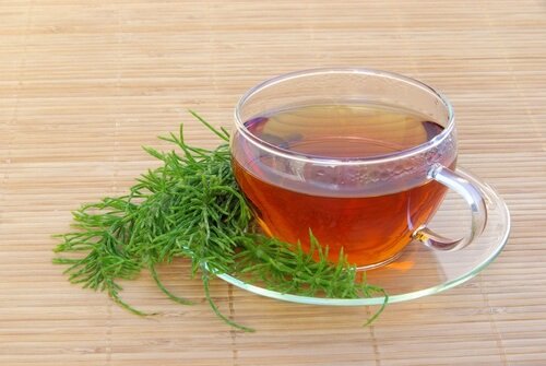 گیاه دم اسب برای رشد مو 