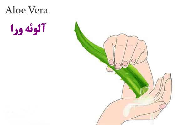 درمان گیاهی چروک پوست دست