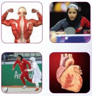 انگلیسی دوازدهم تجربی ، ریاضی و انسانی